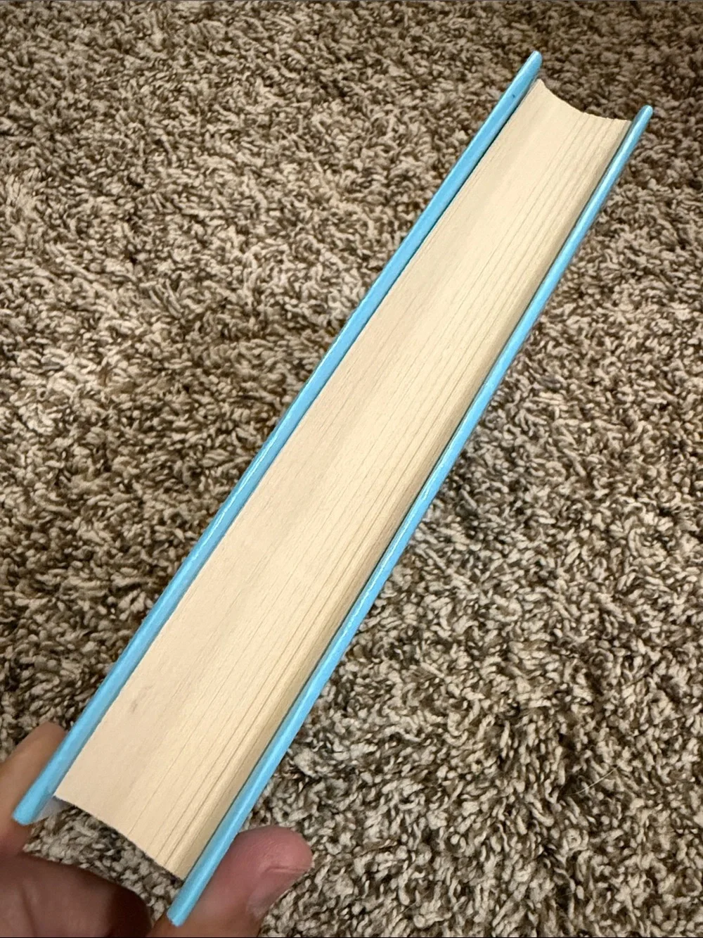 Wonder by R.J. Palacio — Blue Hardcover